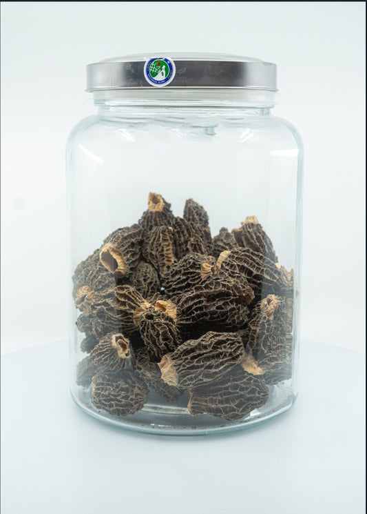 Extra Large Wild Morchella Mushroom（1050/KG)