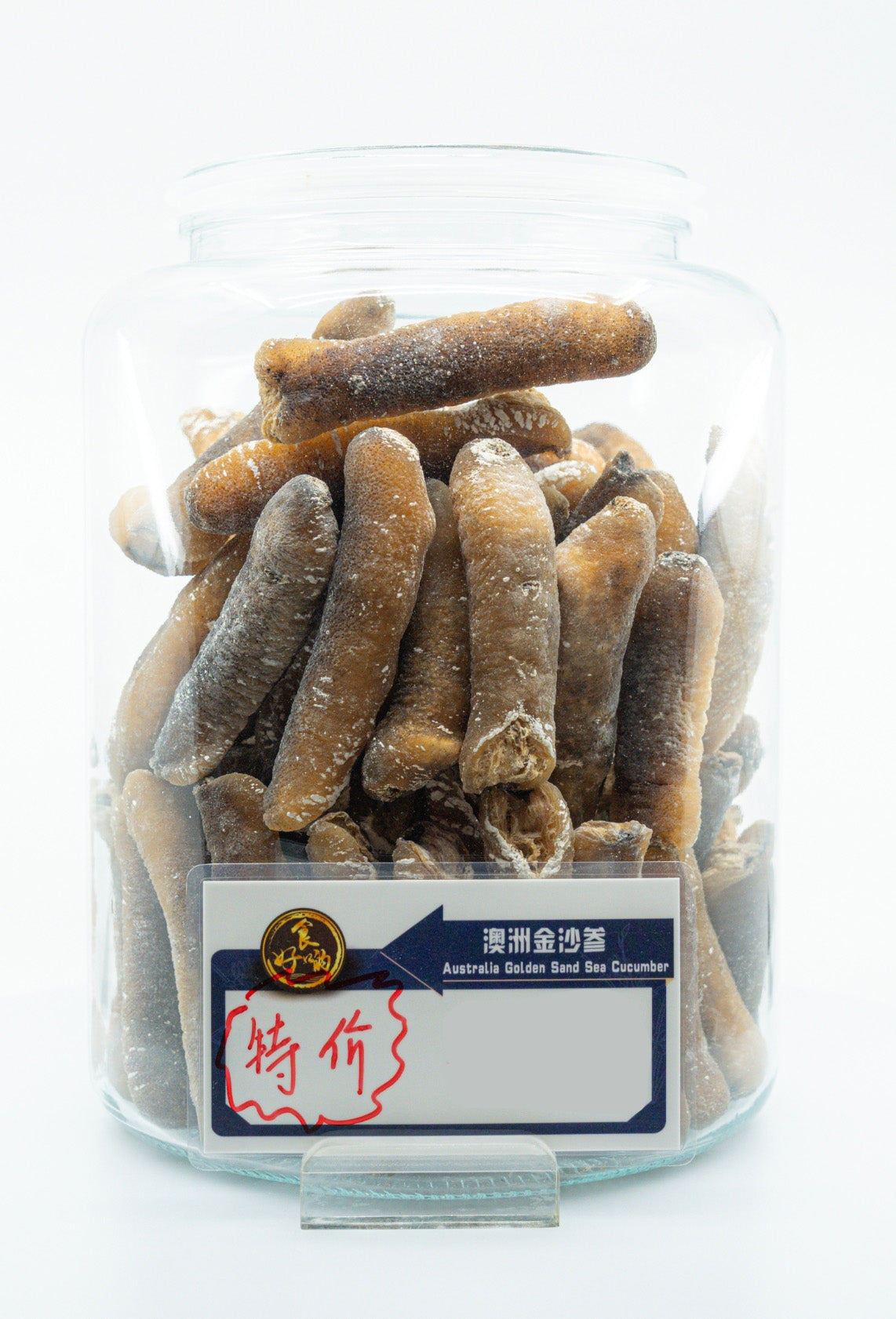 Australian Golden Sand Sea Cucumber 11-13 pieces ($889/KG)